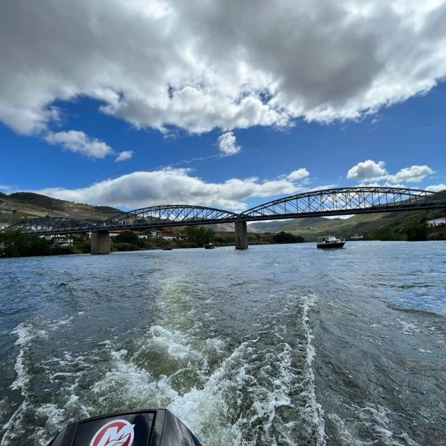 Pinhão: Douro River 50-min Boat Trip with Port Wine - Price and value: $17 for a guide, wine, and real views