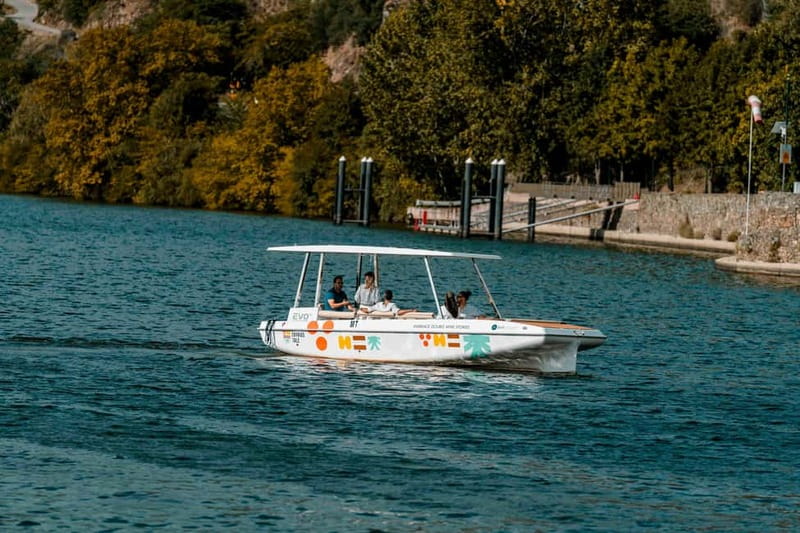 Pinhão: Douro River Solar Boat Tour with Wine Tasting - What happens during the 1-hour cruise, start to finish