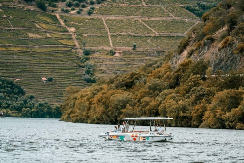 Pinhão: Douro River Solar Boat Tour with Wine Tasting - The Romaneira point: your scenic payoff in a short time