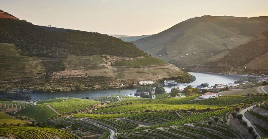 Pinhão: Quinta do Bomfim Visit and Tasting - Vineyard walks and dry-stone terraces with real mountain views