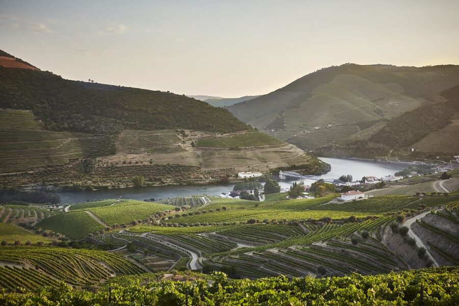 Pinhão: Quinta do Bomfim Visit and Tasting - The museum start: early photos, documents, and port-making context
