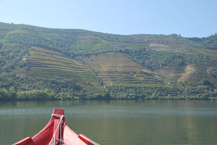 Pinhão: Rabelo Boat 1-Hour Tour - Key things to know before you go