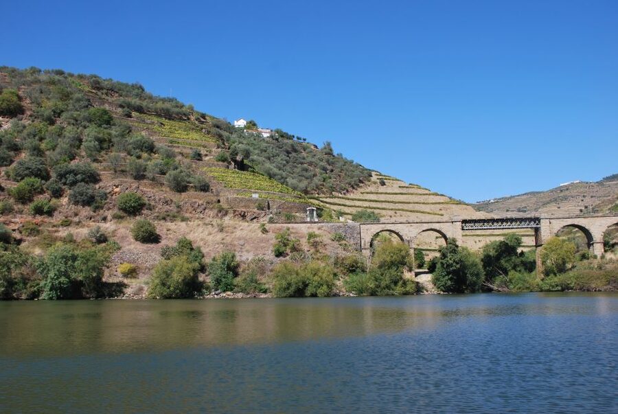 Pinhão: Rabelo Boat 1-Hour Tour - What you see from the water: UNESCO terraces with no road traffic in sight