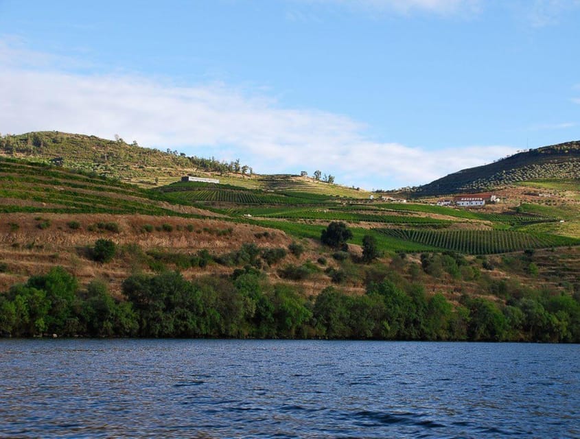 Pinhão: Rabelo Boat 1-Hour Tour - Price and value: why $17 for an hour can be a smart move
