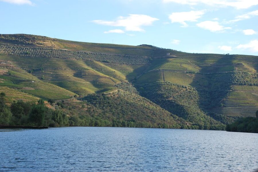 Pinhão: Rabelo Boat 1-Hour Tour - Who should book this Douro rabelo tour