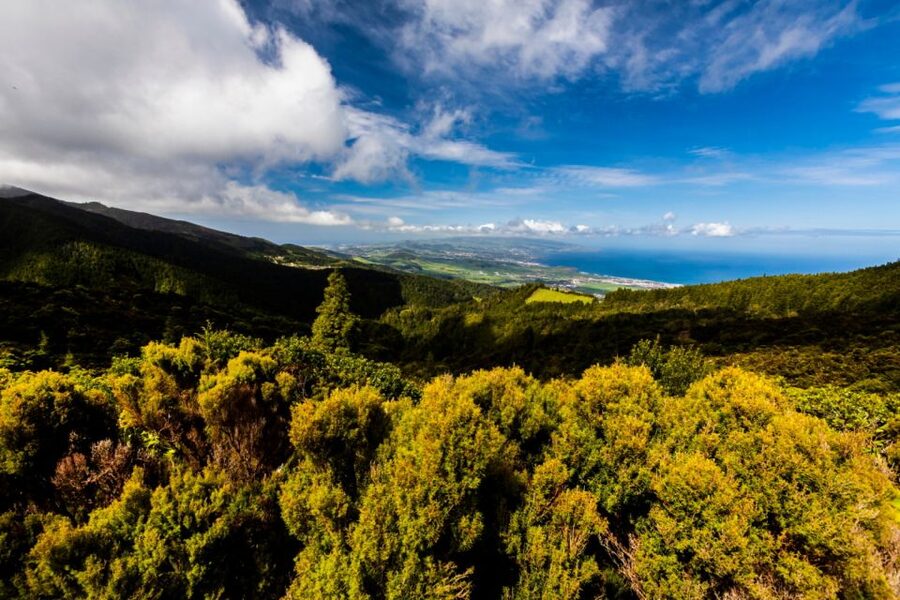 Ponta Delgada: Hidden Gems of São Miguel Full-Day Van Tour - Price and Value at $88 Per Person