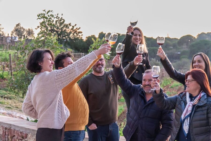 Porches: Algarve Vineyard Tour and Wine Tasting Experience - Should you book this Quinta dos Capinhas vineyard tour?