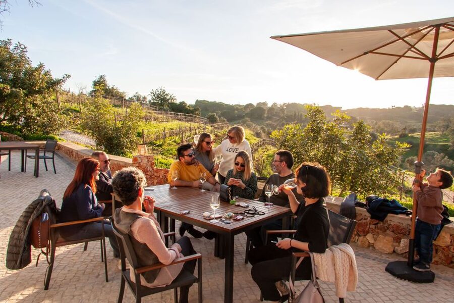 Porches: Algarve Vineyard Tour and Wine Tasting Experience - A family-run vineyard visit, not just another tasting room