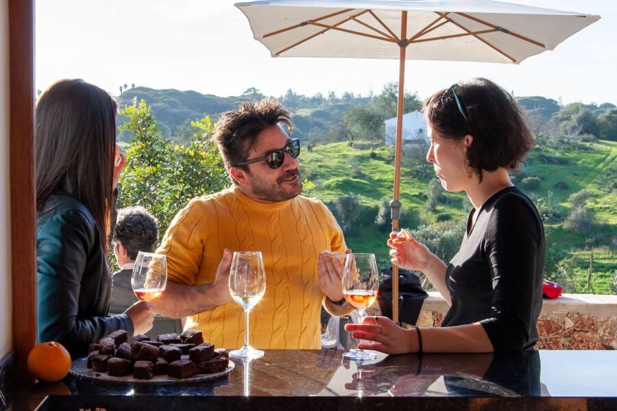 Porches: Algarve Vineyard Tour and Wine Tasting Experience - Photos, vineyard views, and the outdoors reality