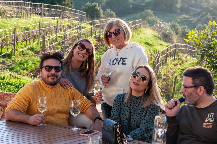 Porches: Algarve Vineyard Tour and Wine Tasting Experience - Price and logistics: is $91 good value, and how to find the meeting point