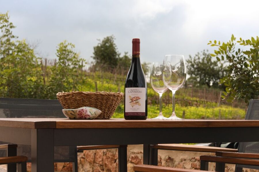 Porches: Algarve Vineyard Tour and Wine Tasting Experience - Who this Algarve wine tasting suits best