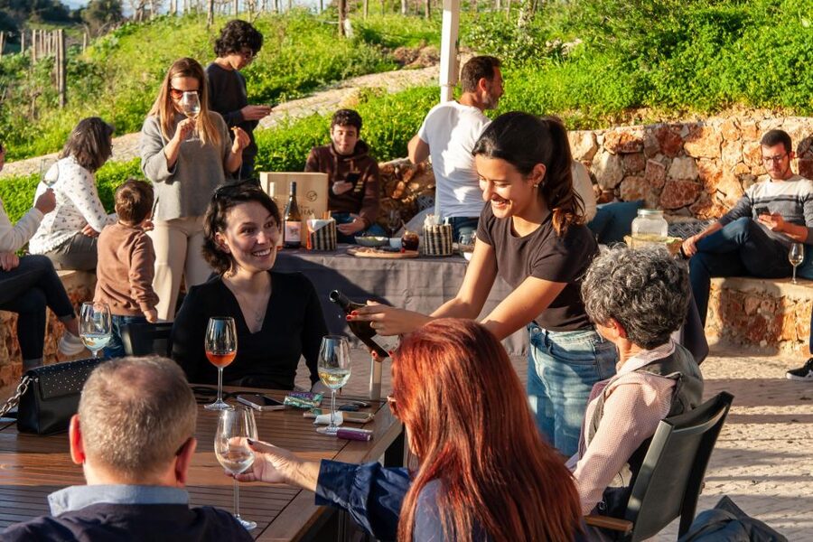 Porches: Algarve Vineyard Tour and Wine Tasting Experience - Practical tips so you enjoy every minute