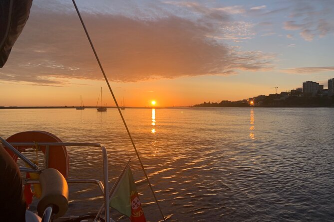 Port : Sail, Sip & Savor : Douro Boat Tour With Wine Tasting - Reserva Natural Estuário do Douro plus rabelo boat context, nature and wine history in one loop