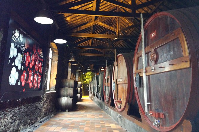 Port Wine Lodges Tour Including 7 Port Wine Tastings (English) - A Major Port Producer Stop: Museum and Cellar Tour