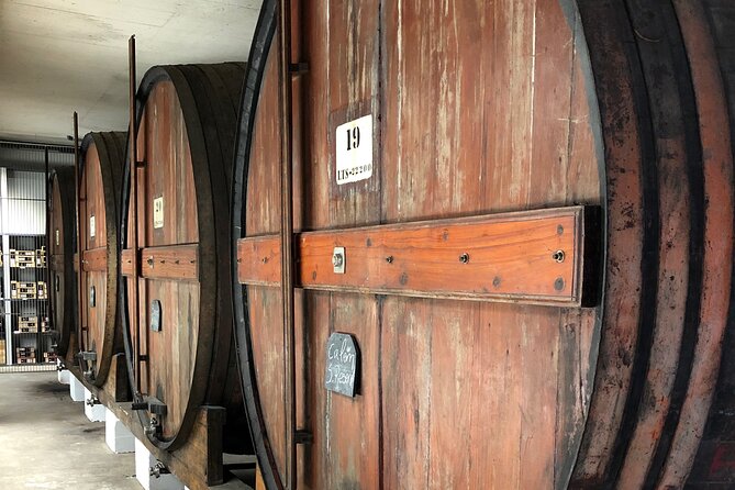 Port Wine Tour | 3 Cellars | 7 Tastings | 12 Participants Maximum - Nuno and David, Guides Who Make the Room Talk