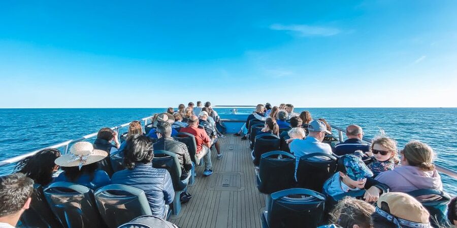 Portimão: Benagil Caves & Dolphins Watching with Biologist - Why this 2.5-hour Portimão combo works so well