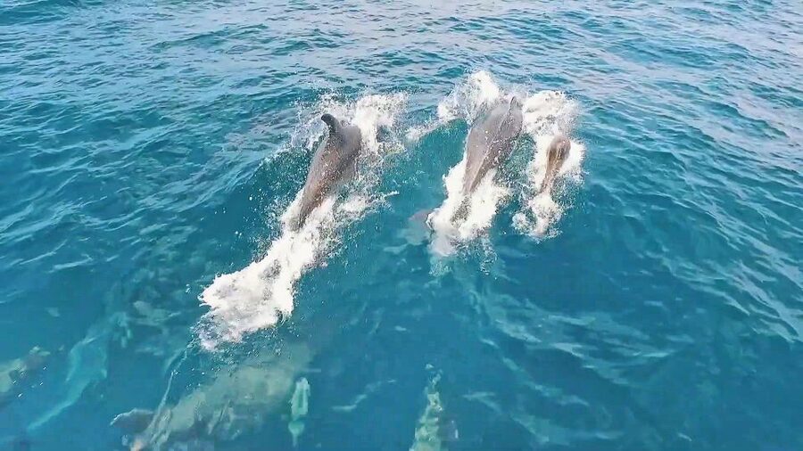 Portimão: Benagil Sea Caves Speedboat Adventure Tour - Practical Tips That Help You Get the Most Out of the Ride