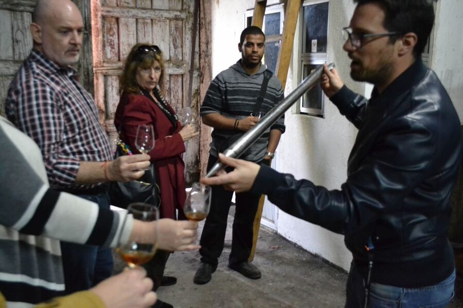 Porto: 3 Douro Valley Vineyards Tour with Lunch - Wine and Food Reality Check: What to Expect at Lunch