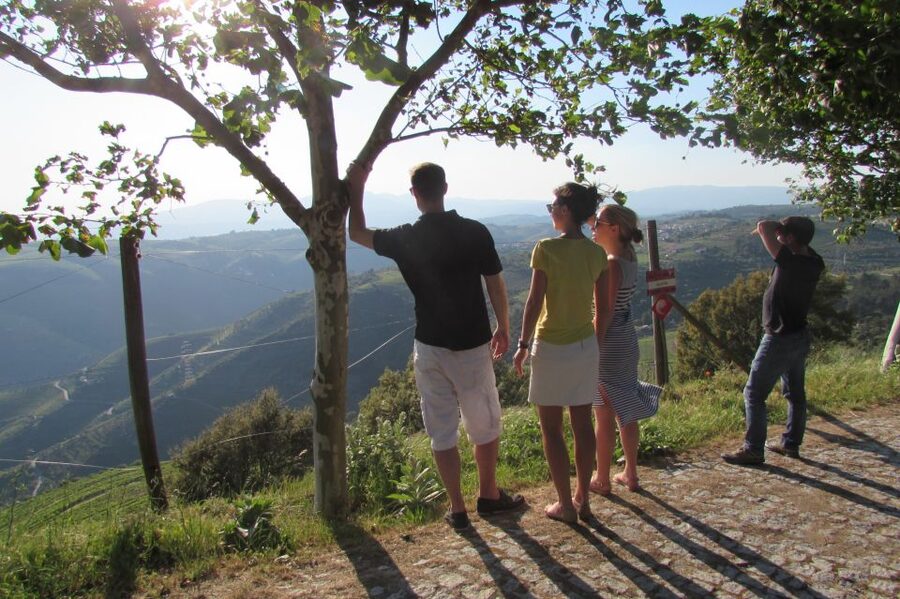 Porto: 3 Douro Valley Vineyards Tour with Lunch - Why the Douro From Porto Works in 10 Hours