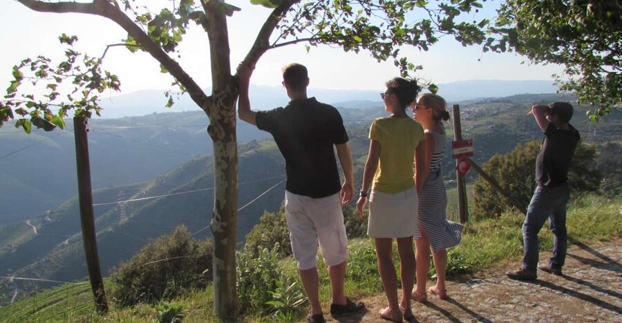Porto: 3 Douro Valley Vineyards Tour with Lunch - The Family-Owned Vineyard: Your First Douro Wine Lesson