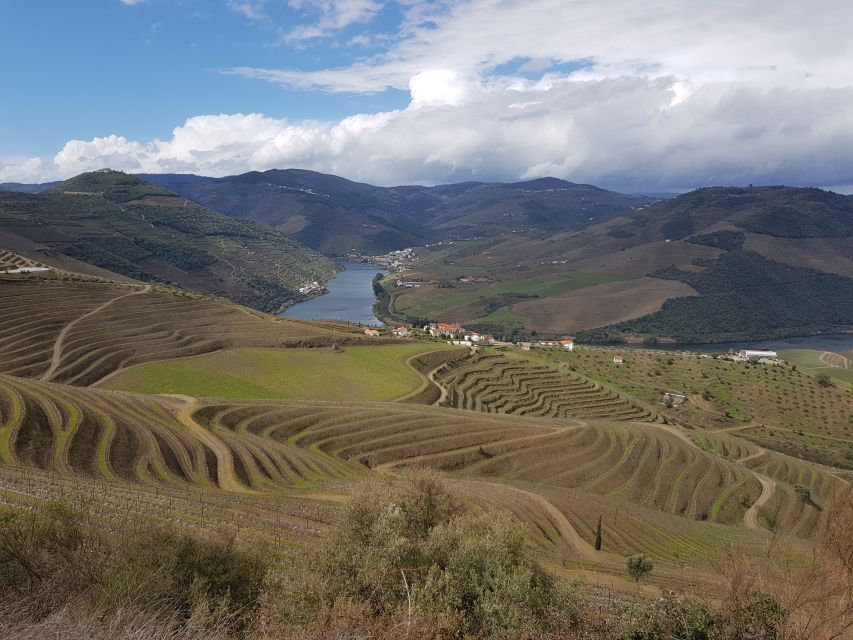 Porto: 3 Douro Valley Vineyards Tour with Lunch - Coffee Breaks and Mountain Roads on the Way to Lunch