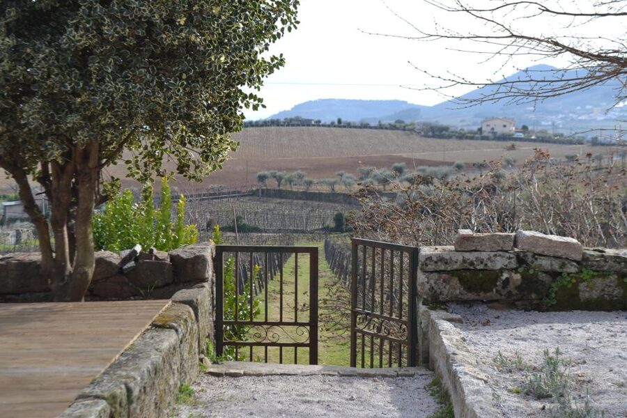 Porto: 3 Douro Valley Vineyards Tour with Lunch - Stop Three at a Larger Vineyard: Ports, Views, and a Finale