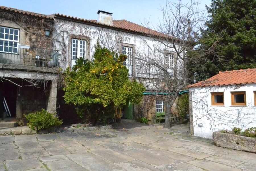 Porto: 3 Douro Valley Vineyards Tour with Lunch - Getting Picked Up at Igreja da Lapa and Settling In
