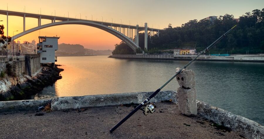 Porto: 3-Hour Bike Tour - The best part is the guide: stories, safety, and how you feel on the ride