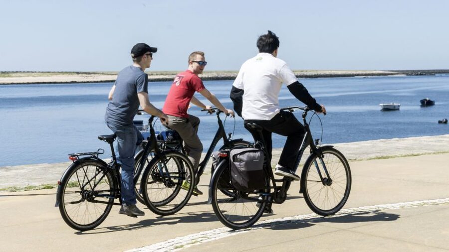 Porto: 3-Hour Bike Tour - Matosinhos and City Park bike paths: where the ride feels easiest