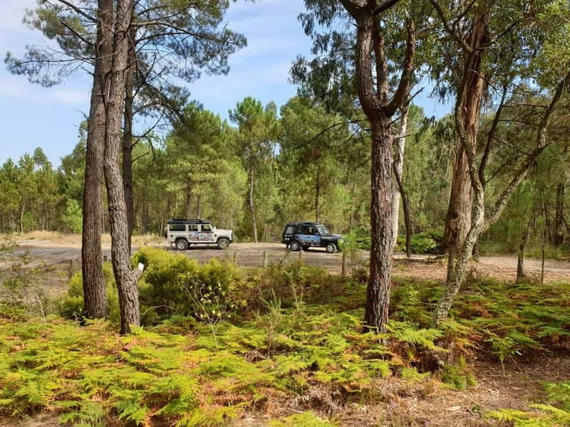 Porto: 4x4 Mountain Tour - Traditional Mountain Village Time: Culture, Not a Checklist