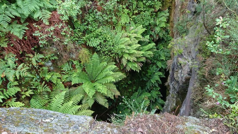 Porto: 4x4 Mountain Tour - River Ferreira Silence and the Kind of Nature Porto Rarely Delivers