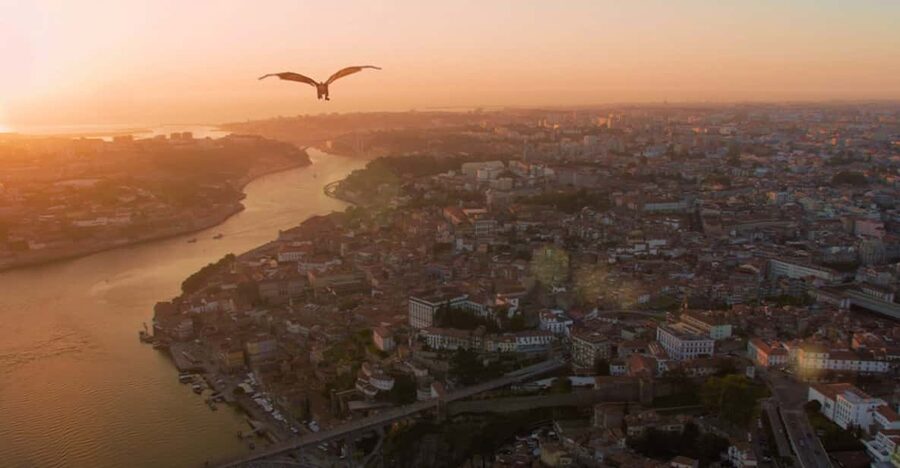 Porto: 5D Flight over de City for all family. - Key highlights at a glance