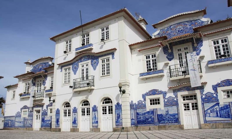 Porto: Aveiro, Cruise, Costa Nova & Capela da Pedra Full Day - Timing, comfort, and how to make the day feel easy