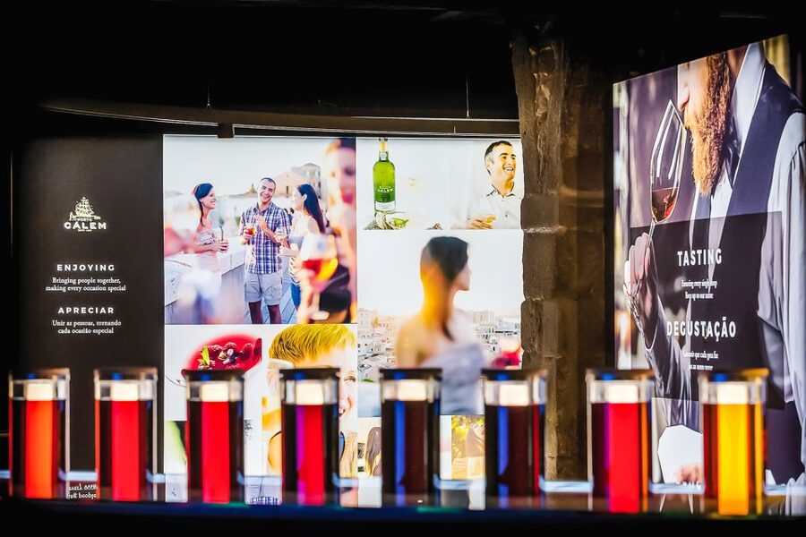 Porto: Cálem Cellar Tour, Fado Show & Wine Tasting - Wine Tasting During the Show, What You Can Expect to Sip