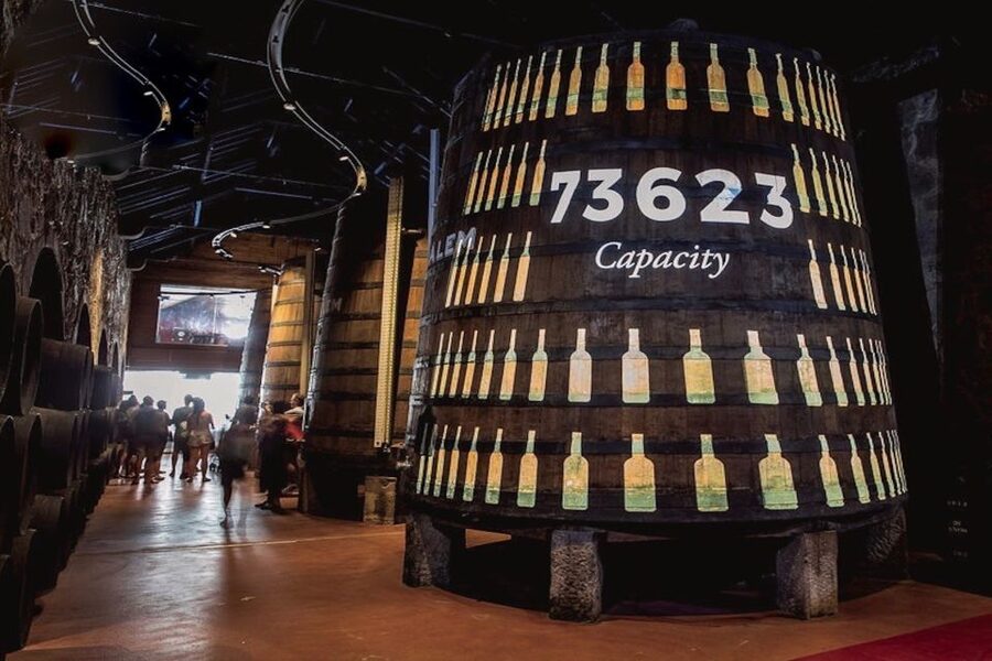 Porto: Cálem Cellar Tour, Interactive Museum & Wine Tasting - The Interactive Museum: Learning Douro and Port the Hands-On Way
