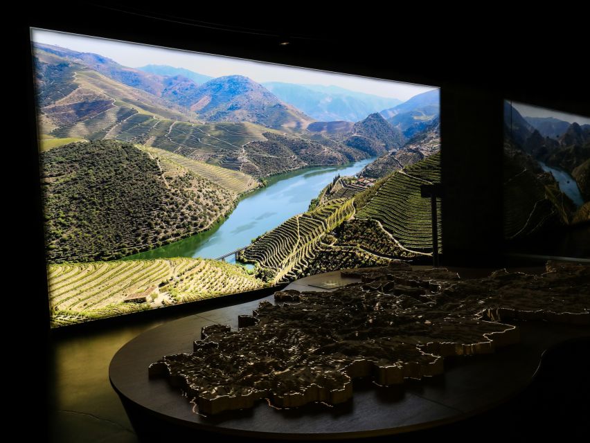 Porto: Cálem Cellar Tour, Interactive Museum & Wine Tasting - The Tasting: Fine White and Special Reserve Tawny (and How to Choose What Fits)