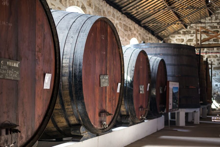 Porto: City Train Tour, River Cruise & Wine Cellar - The city after the cellar: what to do with the extra time you get