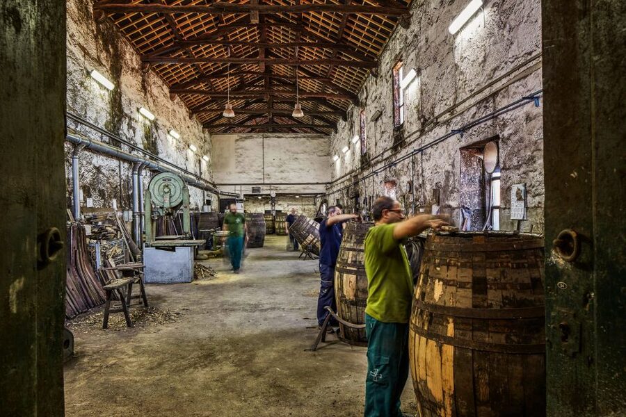 Porto: Cockburn’s Port Lodge Tour and Tasting - Value for $35, what you actually get in 1.5 hours