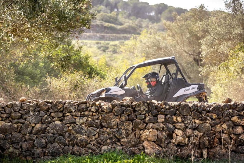 Porto: Dirt and Dust Tour by Oporto Buggy - Who This Porto Buggy Tour Fits Best