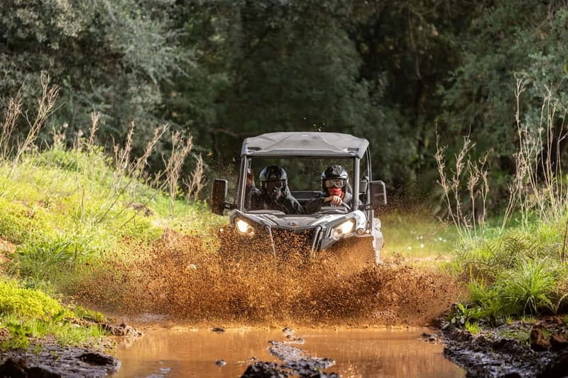 Porto: Dirt and Dust Tour by Oporto Buggy - The 60-Minute Route, from Rally Shakedown to Rugged Trails