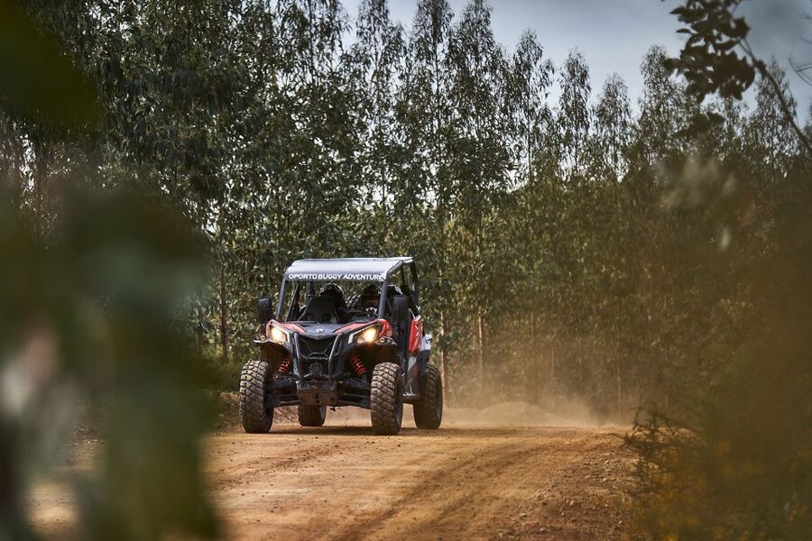 Porto: Dirt and Dust Tour by Oporto Buggy - Price and Value: What $94 Really Buys You