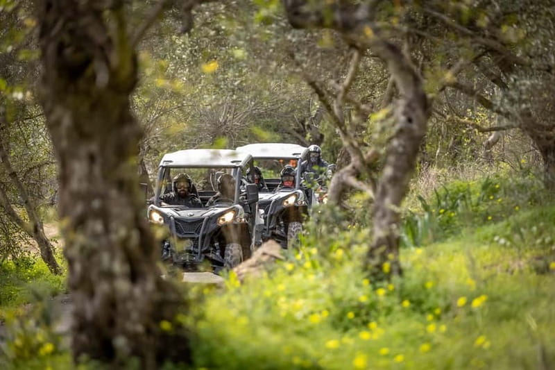 Porto: Dirt and Dust Tour by Oporto Buggy - Getting to Baltar, and What to Do Before You Drive