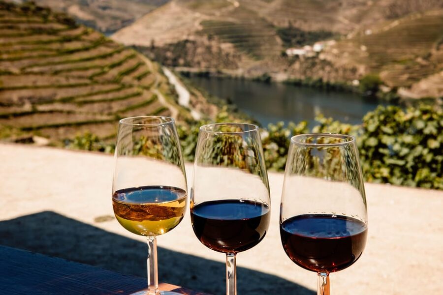 Porto: Douro Valley & Amarante Wine, Food & River Tour - Why this Douro day trip works (even if you hate rushed tours)