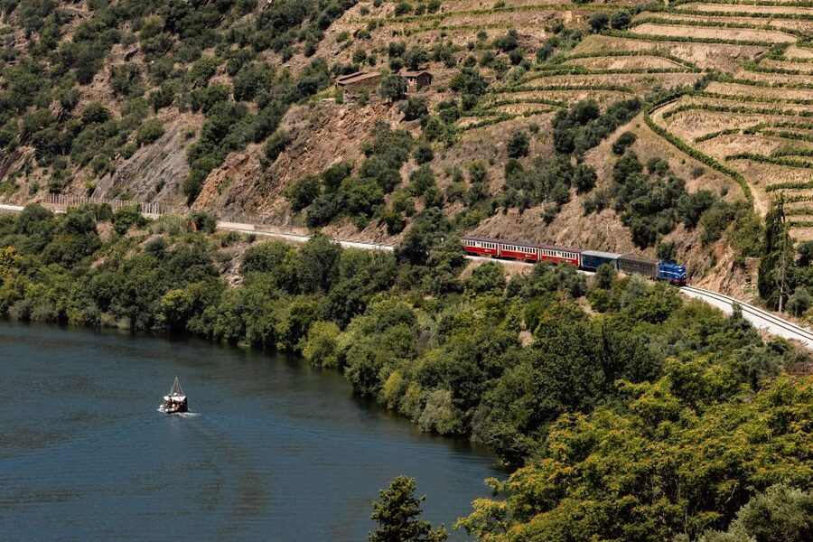 Porto: Douro Valley Full-Day Boat, Train, and Lunch Tour - Key Highlights You’ll Actually Feel During the Day