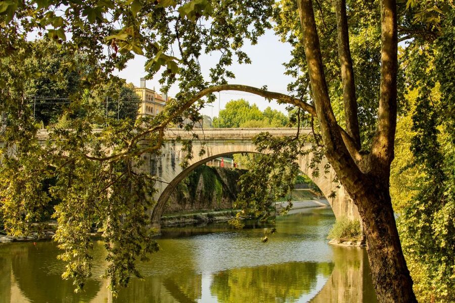Porto: Douro Valley History & Wine Tour with Cruise & Lunch - Who This Douro Tour Suits Best