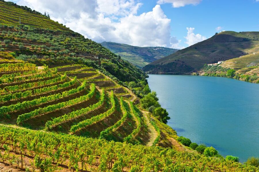 Porto: Douro Valley History & Wine Tour with Cruise & Lunch - Meeting Point and First Impressions at Calçada da Vandoma
