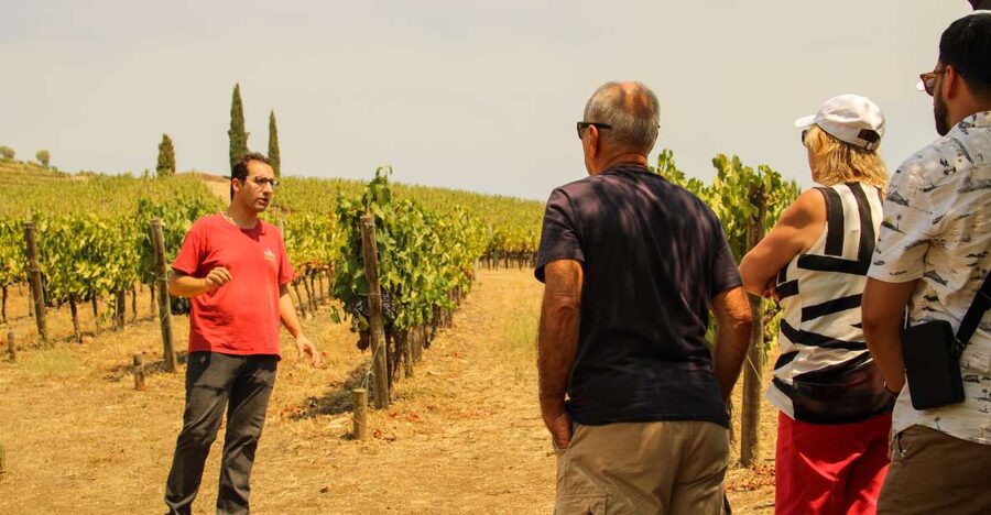Porto: Douro Valley History & Wine Tour with Cruise & Lunch - Photo Stop and the São Leonardo da Galafura Viewpoint