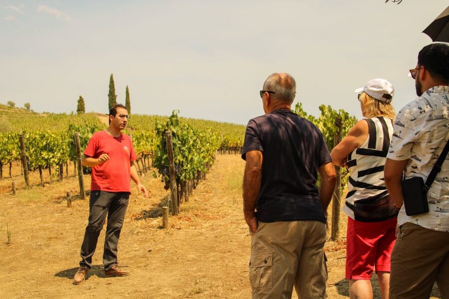 Porto: Douro Valley History & Wine Tour with Cruise & Lunch - Amarante Walking Tour: City of Love, Sweets, and Art
