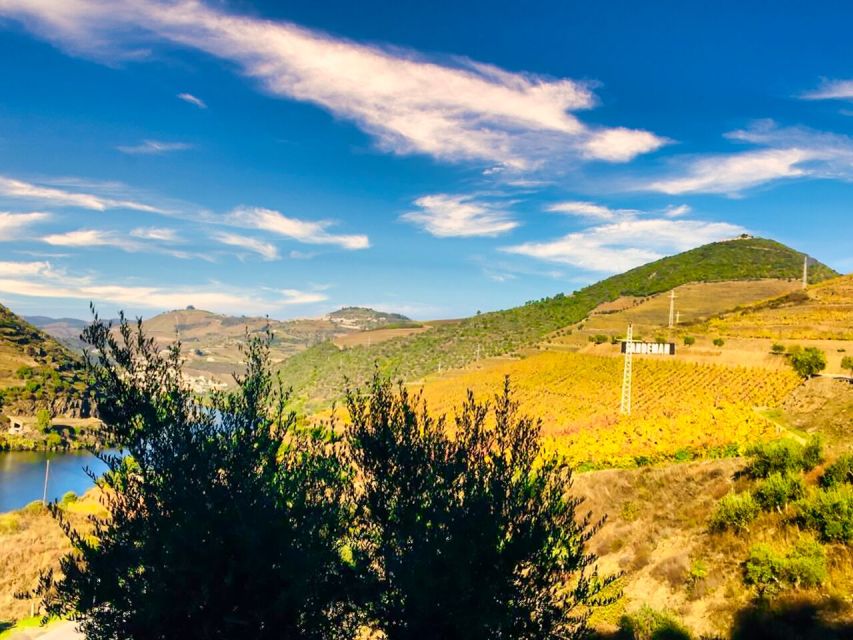 Porto: Douro Valley Tour with 2 Wineries, Lunch and Cruise - Who Should Book This Tour (and Who Might Not)