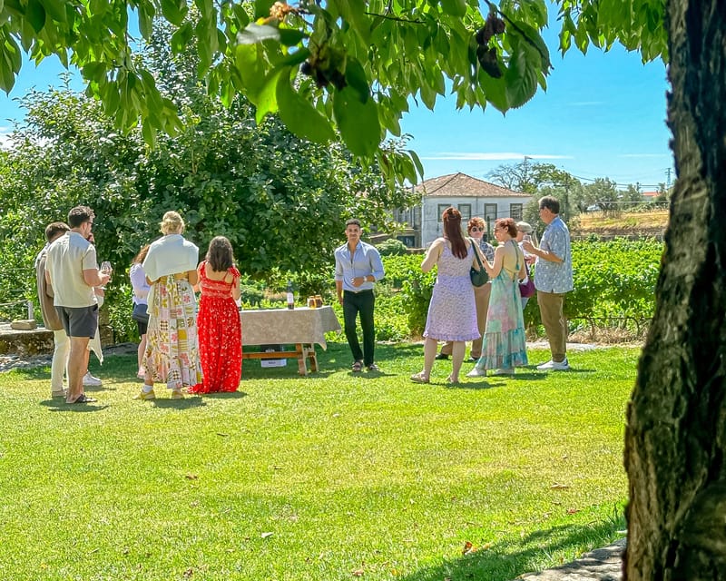 Porto: Douro Valley Tour with 2 Wineries, Lunch and Cruise - The Day Start That Sets the Tone at Trindade